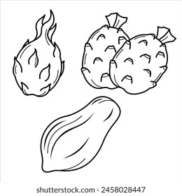 Cartoon Exotic Tropical Fruit Line Art
