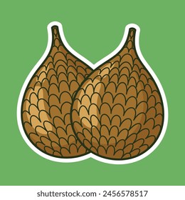 Arte vectorial de frutas tropicales exóticas