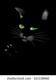 Cartoon face of halloween cat on black background.