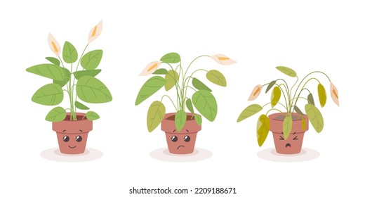 Caricatura que desvanece la planta de la casa. Flor adorable moribunda en maceta florida, sonriente y triste personaje de planta, proceso de crecimiento floral o morado en viejas plantas de hogar enfermas, ilustración vectorial de la casa en crecimiento muerto