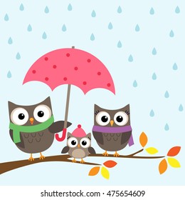 Cartoon family of owls under umbrella on a branch. Autumn illustration