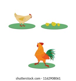 Cartoon family rooster chicken and chickens
