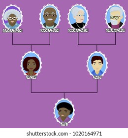Cartoon family tree of the boy born in interracial marriage