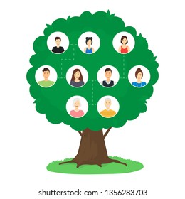 Cartoon Family Tree Infographics Concept Card Poster Include of Mother, Father, Child, Sister and Brother. Vector illustration