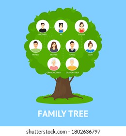 Cartoon Family Tree Infographics Concept Card Poster Include of Mother, Father, Child, Sister and Brother. Vector illustration