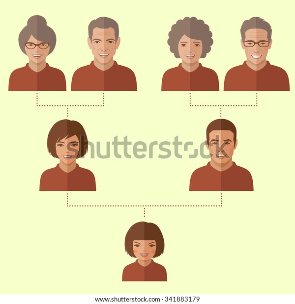 Cartoon Family Tree Vector People Generation Stock Vector (Royalty Free ...