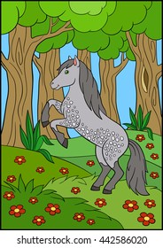 Cartoon farm animals. Beautiful horse in the forest.