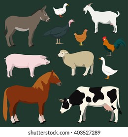 Cartoon farm animals and poultry vector set. Illustration of horse, cow, sheep, goat, donkey, pig, turkey, chicken, rooster, duck, goose.