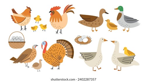 Aves de granja de caricaturas. Diferentes aves domésticas de corral, gansos bonitos, patos, pavos y pollos, huevos en la cesta y nido, pollitos, vectores.eps
