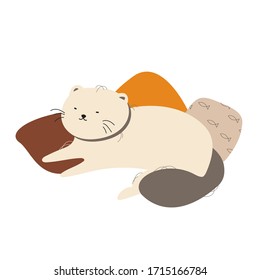 Cartoon fat Persian beige cat resting on multi-colored pillows. On the floor lies a hand-drawn cute pet. Vector illustration isolated on a white background.