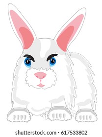 Cartoon of the feathery rabbit on white background is insulated
