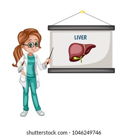 Cartoon Female Doctor Showing Internal Organs on White Board. Vector Illustration of a Liver on a Board

