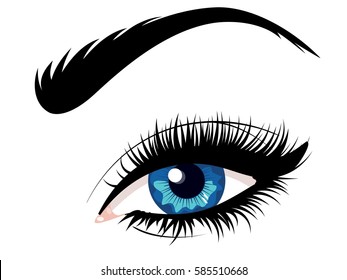 Cartoon female eye of blue color with eyebrow illustration.