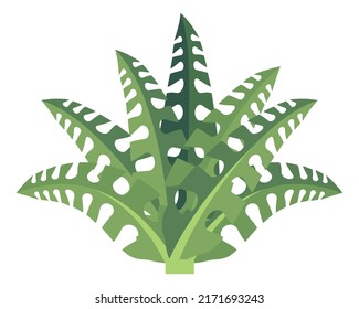 Cartoon fern. Green ancient forest natural plant