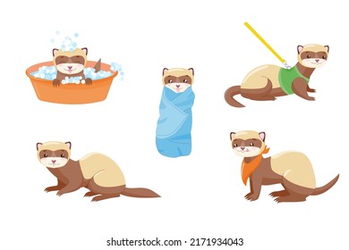 Cartoon Ferret veterinary care. Animal polecat, fitch, foumart. Domestic marten. Cartoon cute animal. Stock vector illustration on a white background.