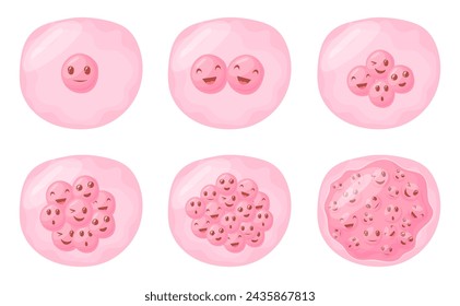 Cartoon fertilized cell. Egg cells division reproductive process animation, cute characters face collagen fission zygote eukaryote mitosis fertility care, vector illustration of egg cell fertilization