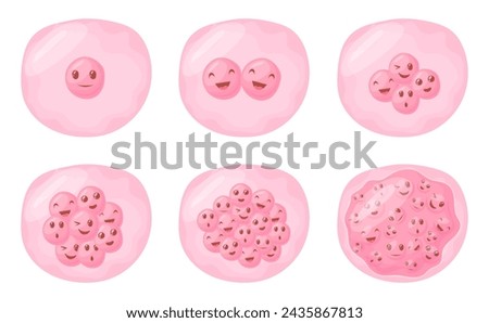 Cartoon fertilized cell. Egg cells division reproductive process animation, cute characters face collagen fission zygote eukaryote mitosis fertility care, vector illustration of egg cell fertilization