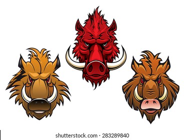 Cartoon fierce wild boar characters with menacing curved tusks and irate eyes