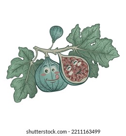 Cartoon figs on a branch. Exotic lucky fruit. Mascot healthy food product for childrens prints. Vector illustration.