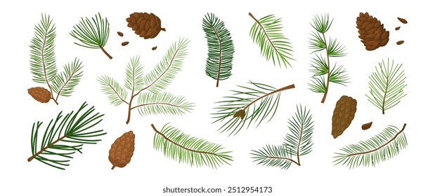 Cartoon fir, Christmas tree, pine cone, evergreen plant, cedar twig, winter decoration, New Year foliage, holiday element. Xmas nature icon isolated on white background. Vector illustration