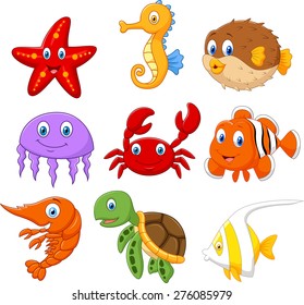 Cartoon Fish Collection Set