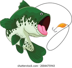 peces caricatura con fondo blanco