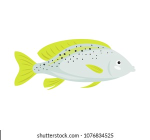 Cartoon fish icon on white background. Vector illustration.