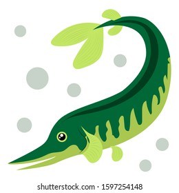 Cartoon fish. Pike. Vector illustration on a white background. Drawing for children.