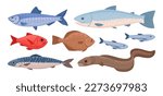 Cartoon fish. Sea food tuna, trout, flounder and eel, ocean fish, delicious ocean seafood flat vector illustration set