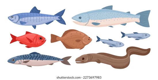 Cartoon fish. Sea food tuna, trout, flounder and eel, ocean fish, delicious ocean seafood flat vector illustration set