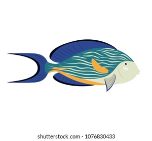 Cartoon fish surgeon icon on white background. Vector illustration.