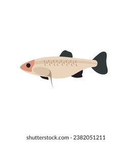 Cartoon fish vector Illustration of fantasy sea fish, sea fish vector