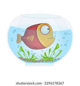 Cartoon fishbowl with funny blue fish,water, seaweed, algae, stones and bubbles.Colorful aquarium marine pet.Glass round fishbowl icon.Underwater exotic animal swimming in aquarium.Vector illustration