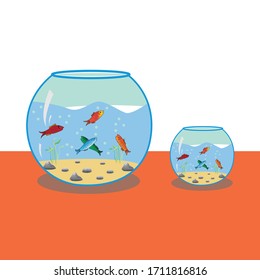 Cartoon fishes in aquarium. Saltwater or freshwater fish tank vector illustration. Water animal.