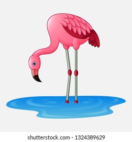 Cartoon flamingo cute