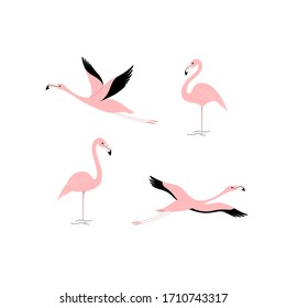 Cartoon flamingo icon set. Cute bird in different poses. Vector illustration for prints, clothing, packaging, stickers.