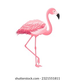 Cartoon flamingo on an isolated white background. Vector