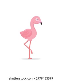Cartoon flamingo on white background, Pink flamingo vector illustration isolated on white background.