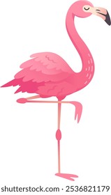 Cartoon flamingo with pink feathers standing on one leg, isolated on white background