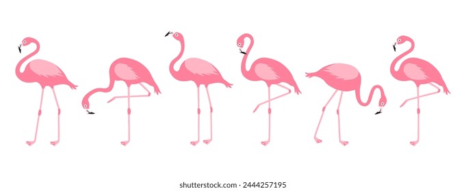 Flamenco de dibujos animados, icono de cisne rosa, pájaro tropical, conjunto de animales de verano, lindo personaje de zoológico aislado sobre fondo blanco. Ilustración vectorial de fauna exótica