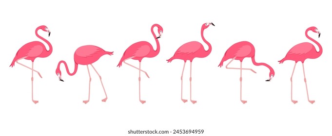 Flamenco de dibujos animados, cisne rosa, icono de pájaro tropical, animal de verano, lindo juego de personajes de zoológico aislado sobre fondo blanco. Ilustración vectorial de fauna exótica