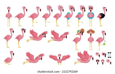 Cartoon flamingo set. Collection of cartoon flamingos in different poses