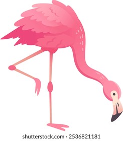 Flamingo de desenho animado de pé em uma perna dobrando-se sobre, isolado no fundo branco