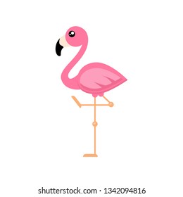 cartoon flamingo vector