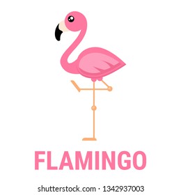 Vector de flamenco de dibujos animados con texto
