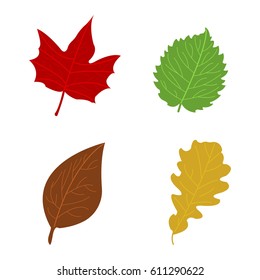 Cartoon flat autumn leaves on white background. Vector illustration.