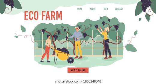 Caricatura de caracteres planos cosechando en la granja - ecológico,orgánico,concepto de agricultura para web online,diseño de sitio