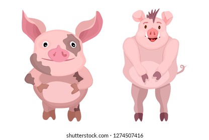 cartoon flat characters. pink bright pigs. stock image vector