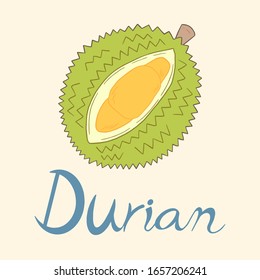Cartoon flat cute thai fruit name durian was peeled and sees yellow flesh inside. And blue word calligraphy 'Durain' under picture on cream color background. Vector illustration square size.