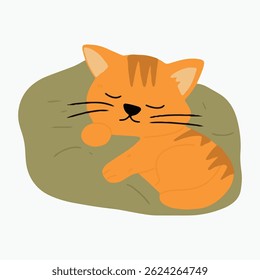 cartoon flat design cat animal design